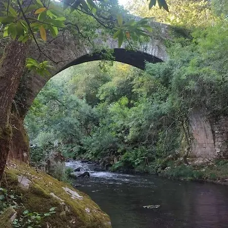 בקתה La Encantadora Casa Del Rio De Caldas De Reis. *