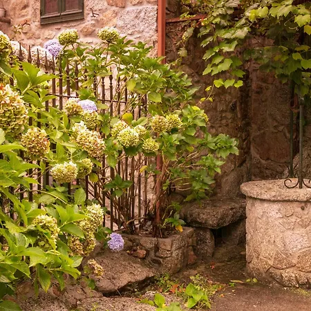 בקתה La Encantadora Casa Del Rio De Caldas De Reis. *